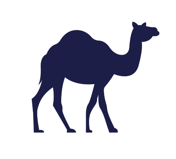 Camels