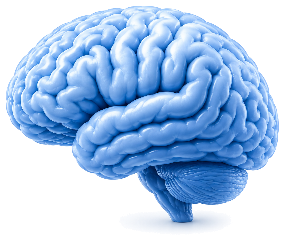 Neurotherapy