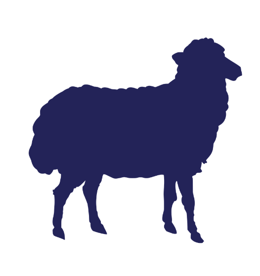 Sheep & Livestock
