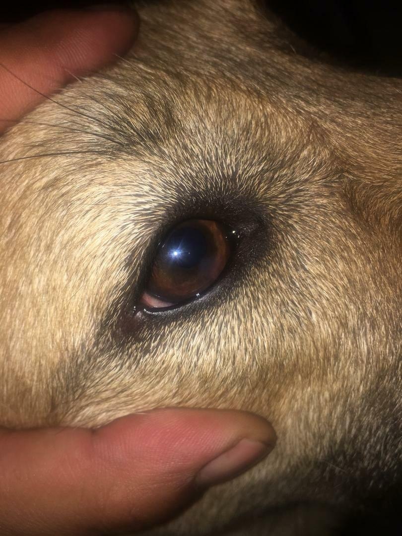 After treatment