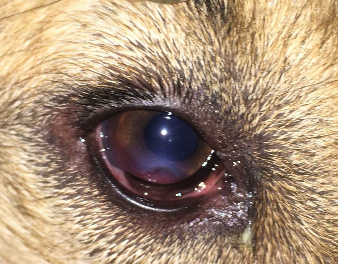 Before treatment